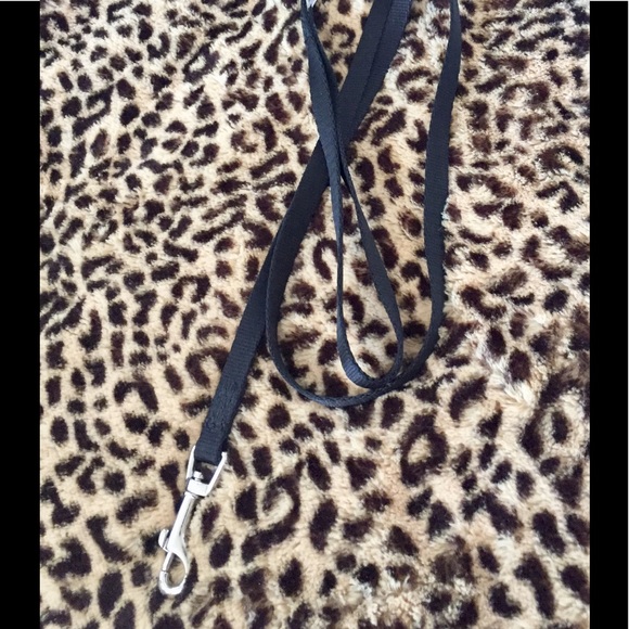 🍁Bundle of 4 BrushBuddy Grooming Brush for Dog/Cat - Picture 6 of 10